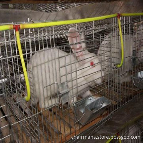 Animal drinker, used for rabbits, chicken, pigeons and so on